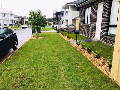 Landscapers Sydney